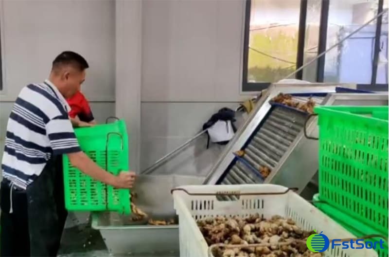 images/1752741197447ginger washing machine.jpg